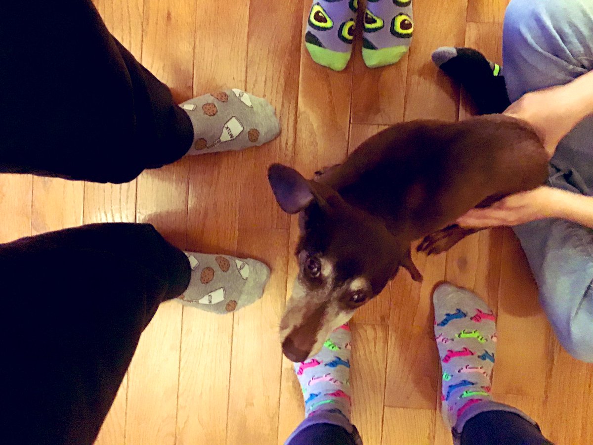 jmccannart's tweet photo. Crazy sock day and national puppy day (moving target😉) #ammslions #FCSrising @AMMSLions https://t.co/twdzlb8WkT