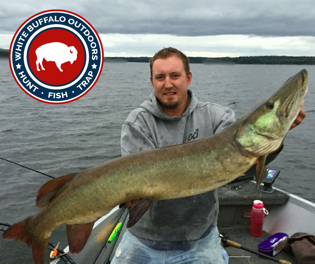 WhiteBuffaloOut's tweet photo. 🔥🔥🔥 Holy giant muskie!  Chris D. with his first muskie exceeding over 50".  Now, that is a fish of a lifetime!  Thank you Chris for sharing!  #whitebuffalooutdoors #muskie #fishing #outdoors https://t.co/0sKhZYQQs1