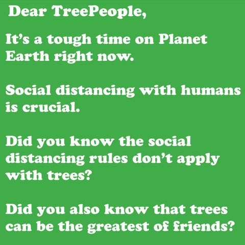TreePeople_org's tweet photo. There’s no social distancing with trees. #FindYourTree #TreePeople https://t.co/UKCcKntoGN