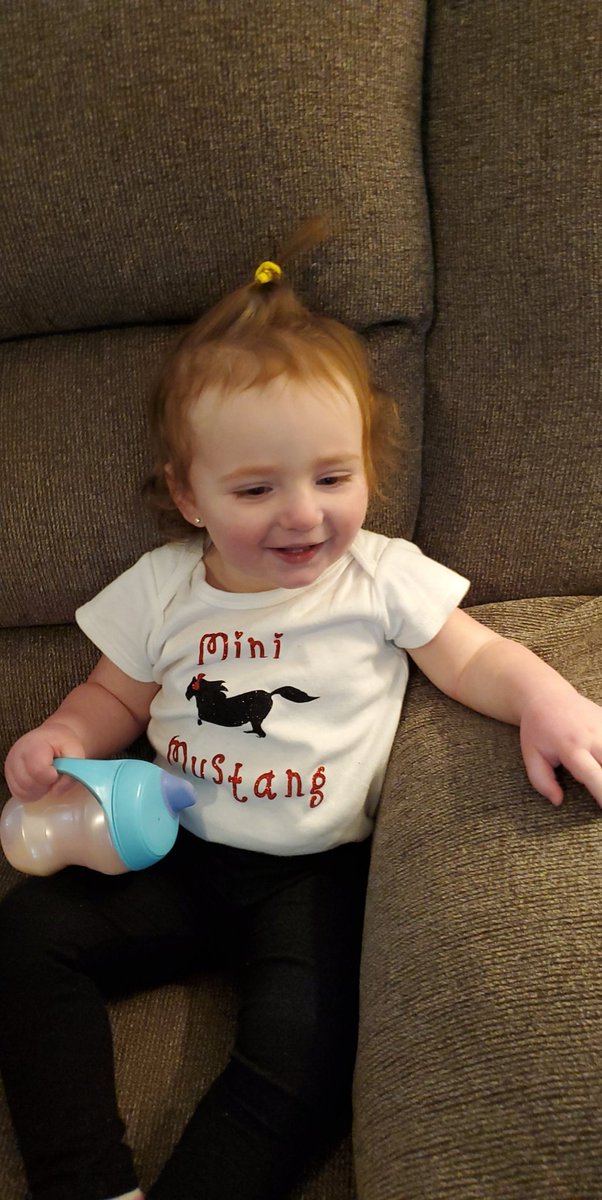 mrsadamski1's tweet photo. This #minimustang is wearing her Mineola gear today! #MineolaProud #VirtualSpiritWeek https://t.co/vtSt96wDyY