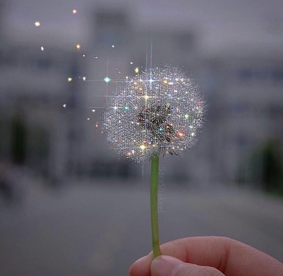 Wishin’ for things to go back to normal soon 🙏💫

Instagram 📸 sarashakee