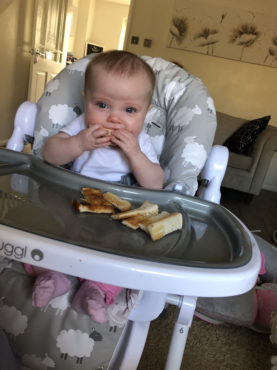 ChloeEEdis's tweet photo. I hope these photos can brighten your day as much as her fade brightens ours. Yesterday was the first day of our self isolation due to me and Summer-Grace being high risk both having bad chests.... she’s currently streaming with what I hope is just a cold https://t.co/0JI4vSlVe7