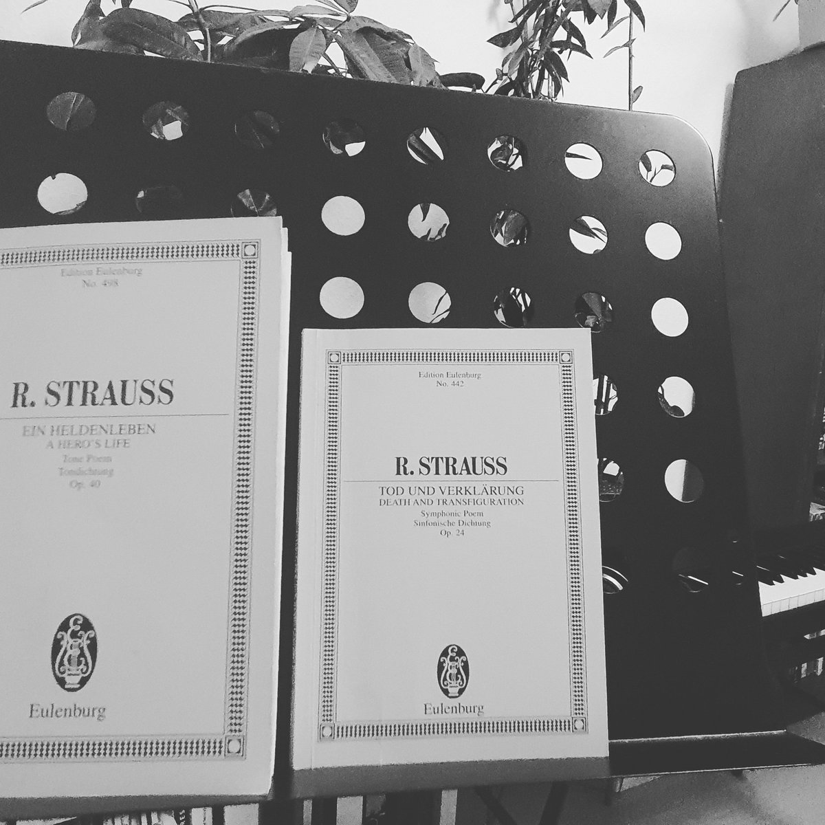 JumpUp1991's tweet photo. Being at home and studying #RichardStrauss #symphonicpoems
💥
#Todundverklärung
#Heldenleben
what wonderful music to discover, can't wait to hear them live with Dresdner Staatskapelle next season https://t.co/xhMCxaJY47