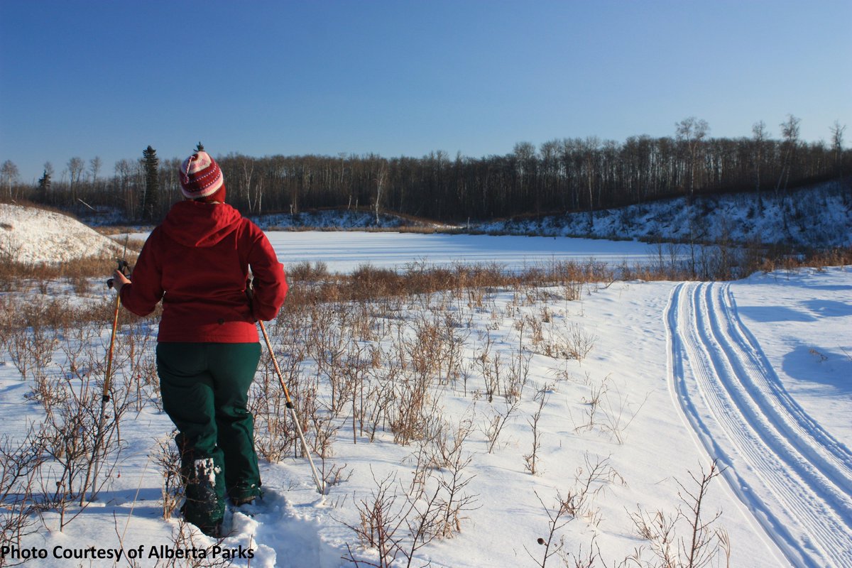 BHBiosphere's tweet photo. Change the way you see yourself within the #environment. 

Immerse into the #StrikingBalance #Documentary series that will take you #coasttocoast into Canada's 18 @UNESCO #BiosphereReserves > > > https://t.co/TRhiYItOAe 

Stay tuned for Beaverhills Biosphere's episode. 🌿 https://t.co/4cg8RetfSQ