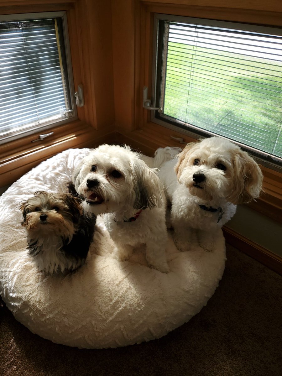 Ty Healy tweet media