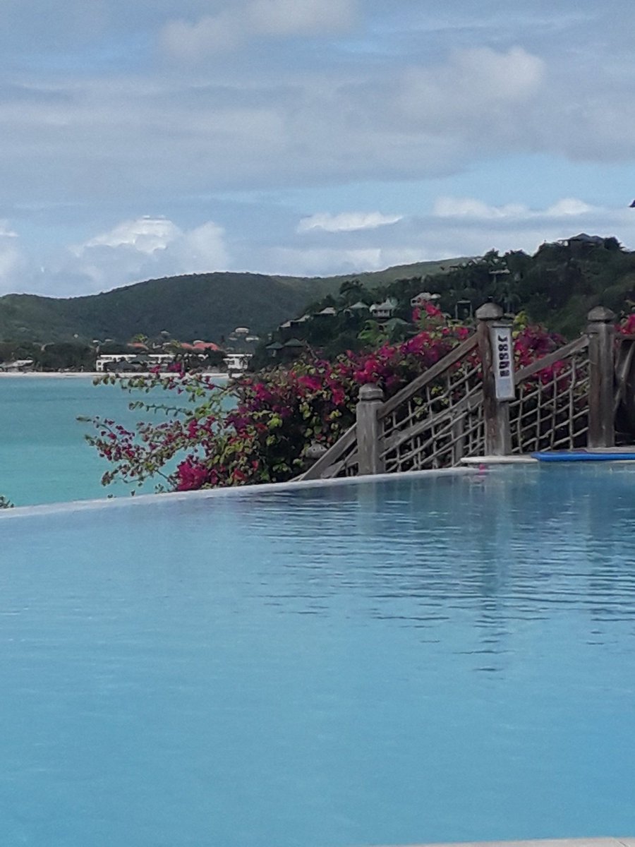 Cocobay monday #sheerrocks