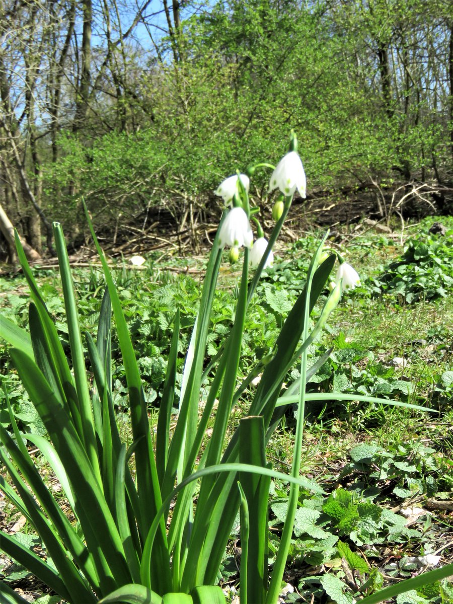 #Park Positive, beautiful day spent around Fishers Green.