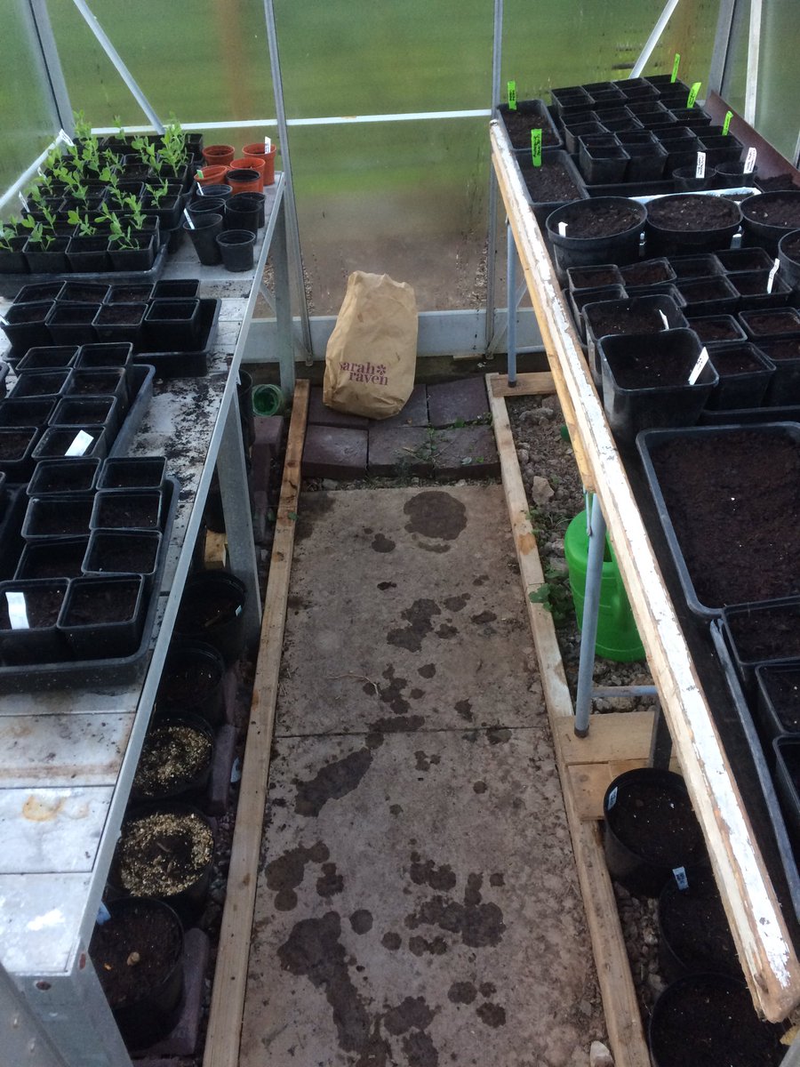 KizzyharrisUK's tweet photo. Making the most of my temporary new office thanks to @srkitchengarden https://t.co/XPFLGAppPF