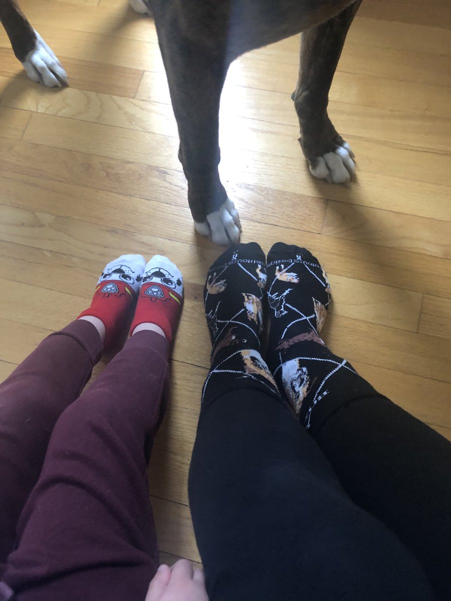 Rockin’ our socks! Marshall socks &amp; boxer socks 🐶