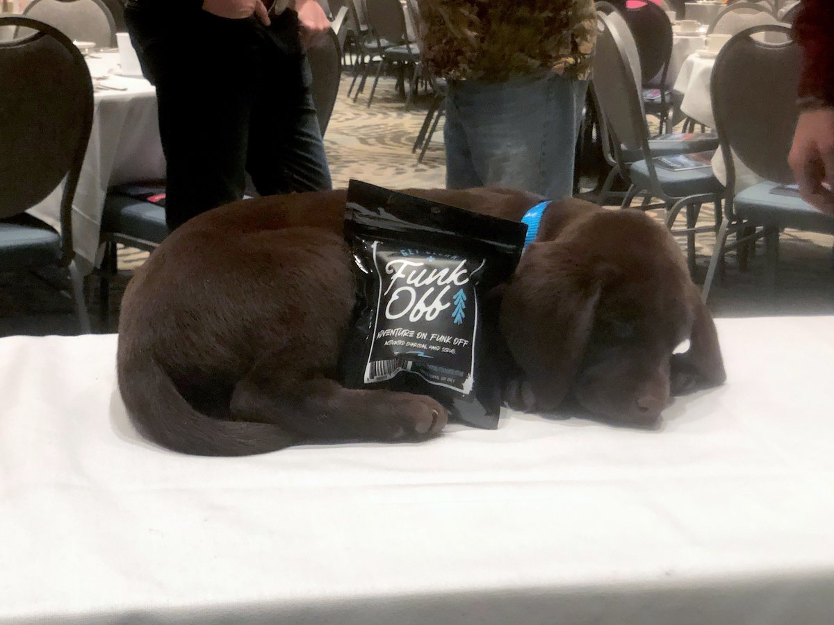 FunkOffOutdoors's tweet photo. Never met a puppy we didn't like. Happy National Puppy Day! Who's celebrating with a dog hug (or five)? #NationalPuppyDay https://t.co/YRE3hZd2pA https://t.co/PLZjn9ux0l