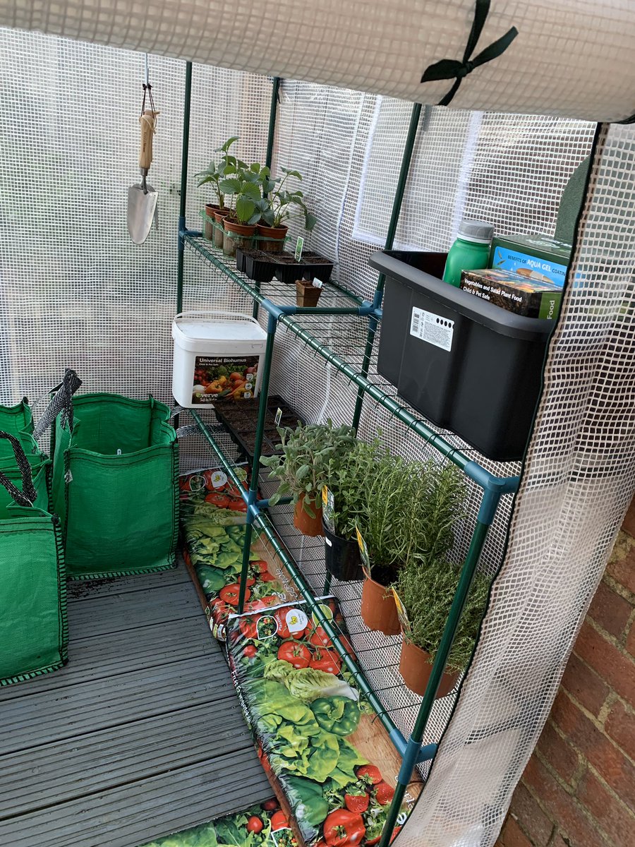 mindworkmatters's tweet photo. It’s really important that we continue to get fresh air in a safe way. My son’s have set up a gardening project. #StayingSafeOutside #GrowYourOwn #CopingInIsolation #GardeningProject https://t.co/8V306q8FXi