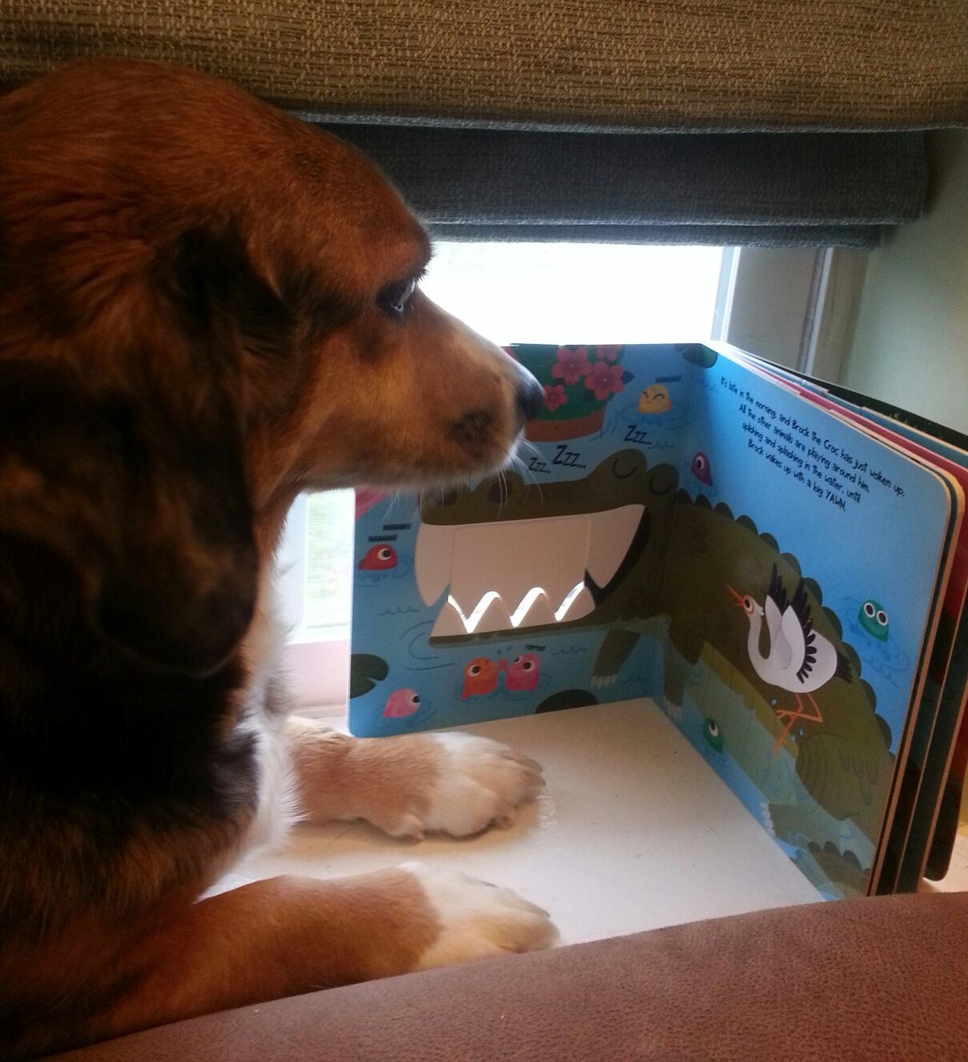 MsHaugrud's tweet photo. Motivation Monday @PikesvilleM Rainy days are great days to stay inside and enjoy good books! https://t.co/cGUMLIp4Ji