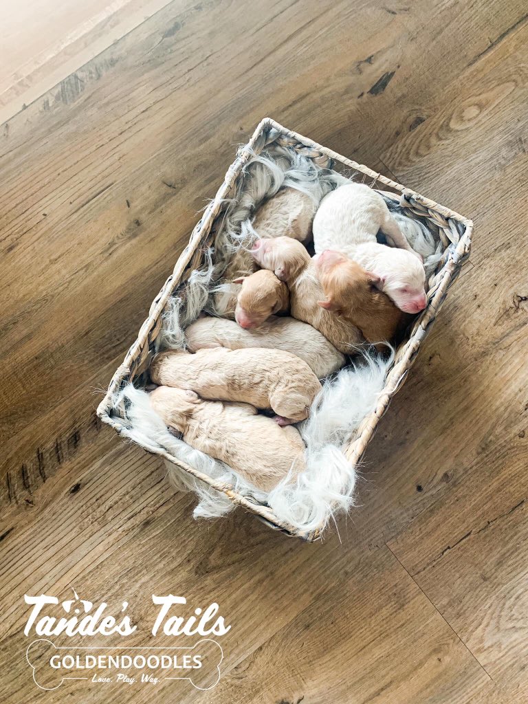 Jill Weeks tweet media