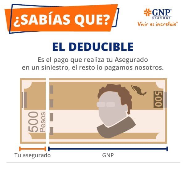 Marcia_Seguros's tweet photo. 👉🏻 ‼️Promociones Vigentes‼️
Contáctanos
📲Whats 9811037934
☎Oficina 9818168407
💻Messenger MarciaMuñozSeguros
#MarciaMuñozSeguros #SoyAgenteProfesional #SoyAgenteAmasfac #AutoIndividual #GastosMédicosMayores #HogarVersátil #GNP #DespachoenSeguros #viviresincreible https://t.co/xovjTHH9nF