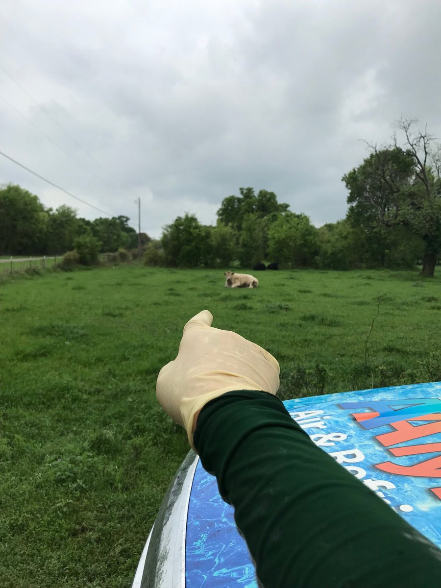 tedafferback's tweet image. I’ve to get out &amp;amp; close the gate before the cattle try to follow me, to the next call a cancer patient with no ac:)