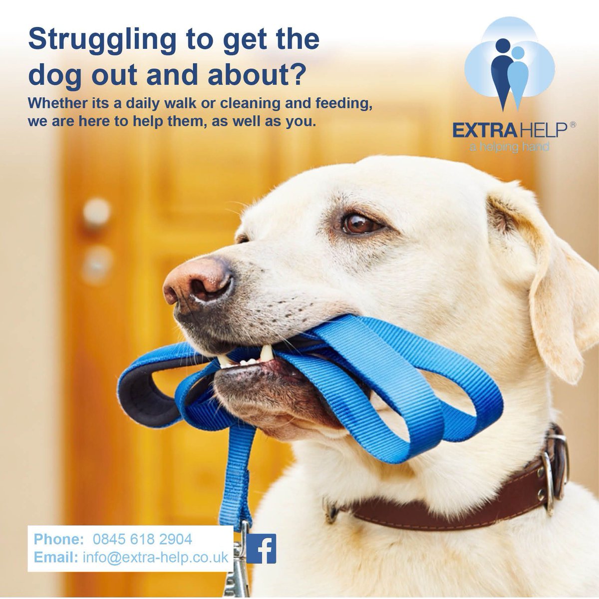 Struggling to get the dog out and about? Our DBS Checked helpers can support you! Visit slo.link/16321 to find out more about us | #HomeHelp #DomesticHelp #ElderlyCare #Pets #Dogs #Walkies #UK