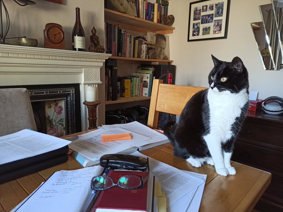 @Arden_Uni @ArdenUniPsych @nicholasswift Mine's not that tidy AND includes a special guest x  #thisismyclassroom #homestudy