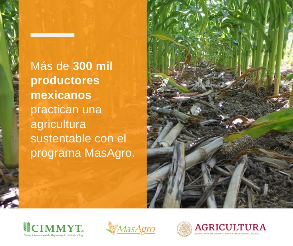 Junto con <a href="/Agricultura_mex/">Secretaría de Agricultura y Desarrollo Rural</a> promovemos #MasAgro. Este programa impulsa la agrcultura sustentable en México para mejorar los rendimientos agrícolas; así contribuimos al desarrollo de las comunidades rurales.