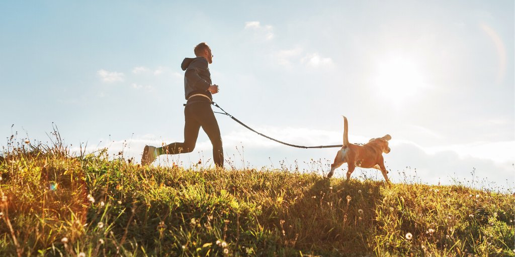 drinkplanetH2O's tweet photo. Working out with your dog can boost your mood, lower your blood pressure and keep you motivated, but it can also keep them healthy, control weight and expend their energy! Above all it can improve your bond ❤ #nationalpuppyday #dogs https://t.co/FlsDOHyIwd