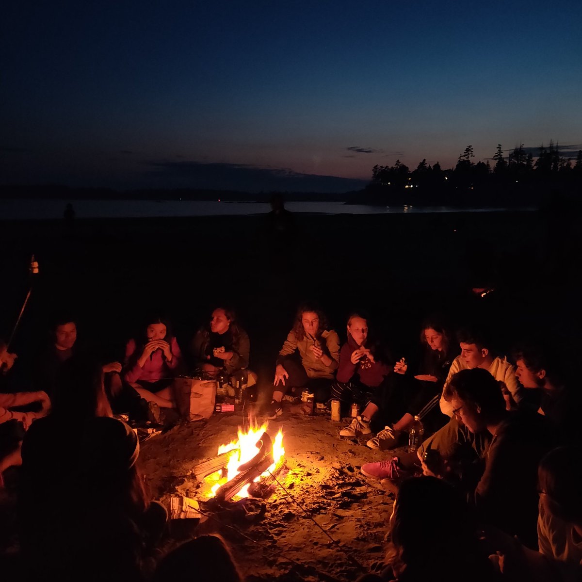Tofino is an authentic place connected with nature. It has the most stunning scenery on Vancouver Island. You can even partake in optional activities such as learn to surf, watch whales and bears.

#livetheadventure #discovercanadatours #tofinobc