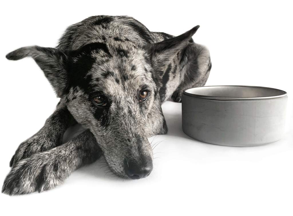 Bryan Bittner tweet media