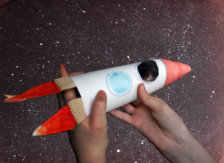 CreativeYorkPA's tweet photo. Check out this work of art titled “Pepper in Space!” Mother and daughter duo, Nicki and Nora Smeltzer designed this rocket and painted background while stuck at home. Their pet hamster, Pepper, even got in on the fun as the model. #pepperinspace #artwork #creativeyork https://t.co/Td5WOXFdtG