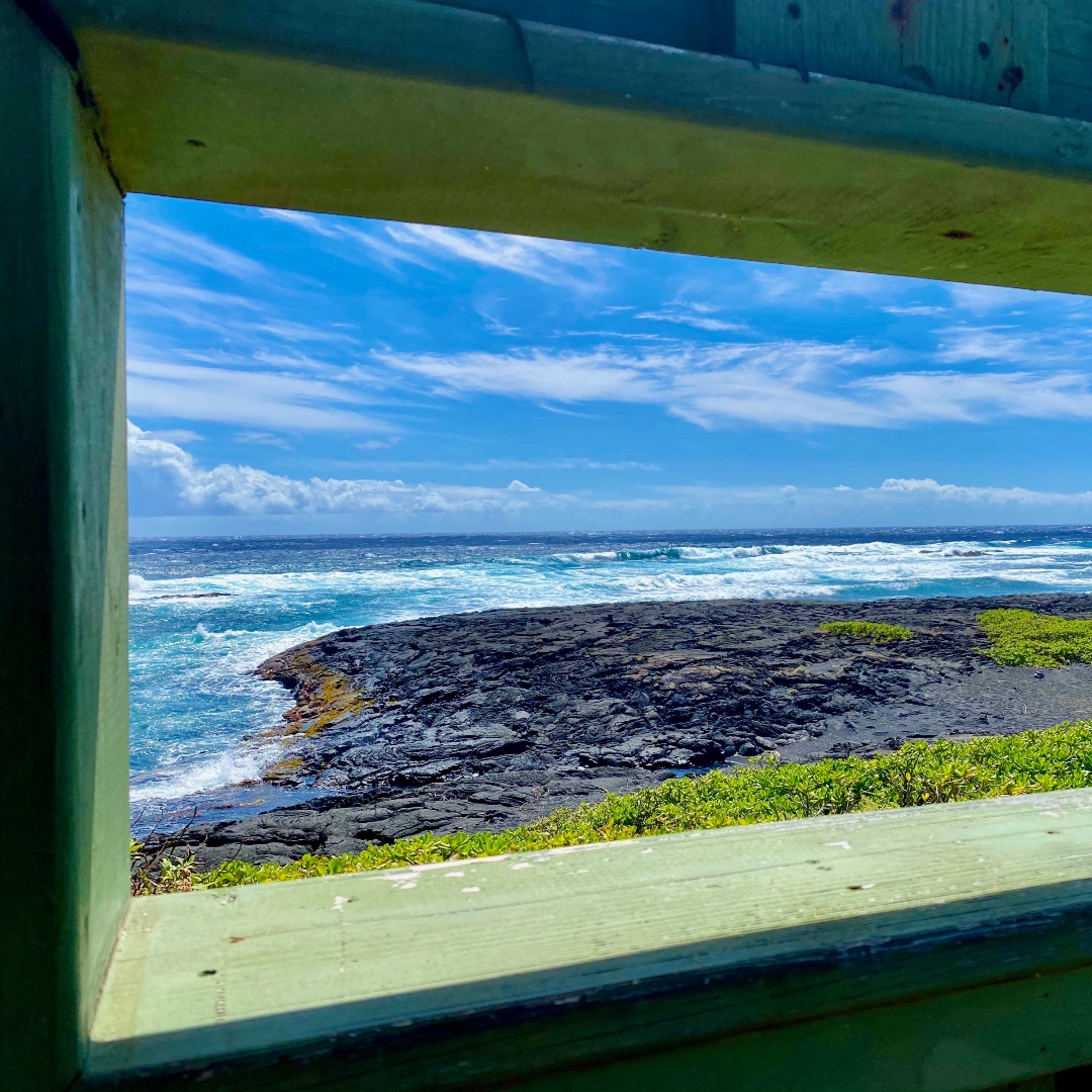 KapohoKine's tweet photo. 🙌 Enjoying views of the Ka’u Coast from the pavilion at Punalu’u where we have lunch on our Ultimate National Park Explorer Tour. 
Explore with us: https://t.co/UuGYRXpnCg https://t.co/OS8OwONYYZ