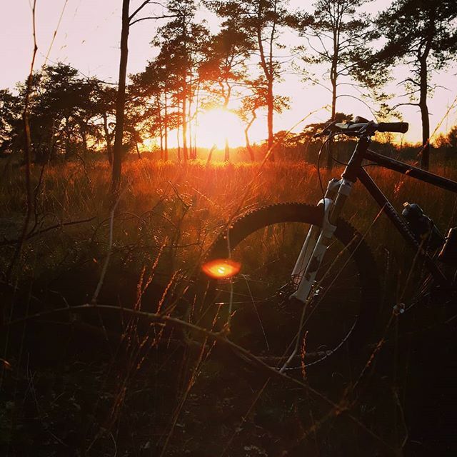 #postworkride ... 🌄

#EndlessRiding #mountainbiking #singlespeed #steelforreal #adventurebybike #optoutside #sportersbelevenmeer #blijfsporten #sportenindenatuur #buitenbeleefjemeer #sportinheusdenzolder #vanhtotz #sunsetphotography #sunset ift.tt/2xiuRlS