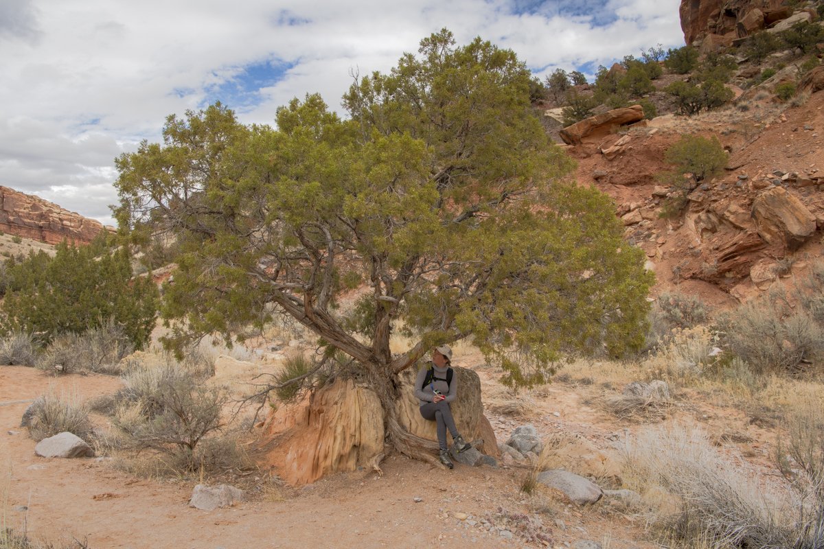 MVMPhotos's tweet photo. Avoiding people has been an adventure. Seeking out the remote areas of the Western Slope is addicting.
#colorado
#coloradical
#desert
#hiking
#fruita
#nationalmonumnet
#socialdistance
#nikon https://t.co/UBSALF9onf
