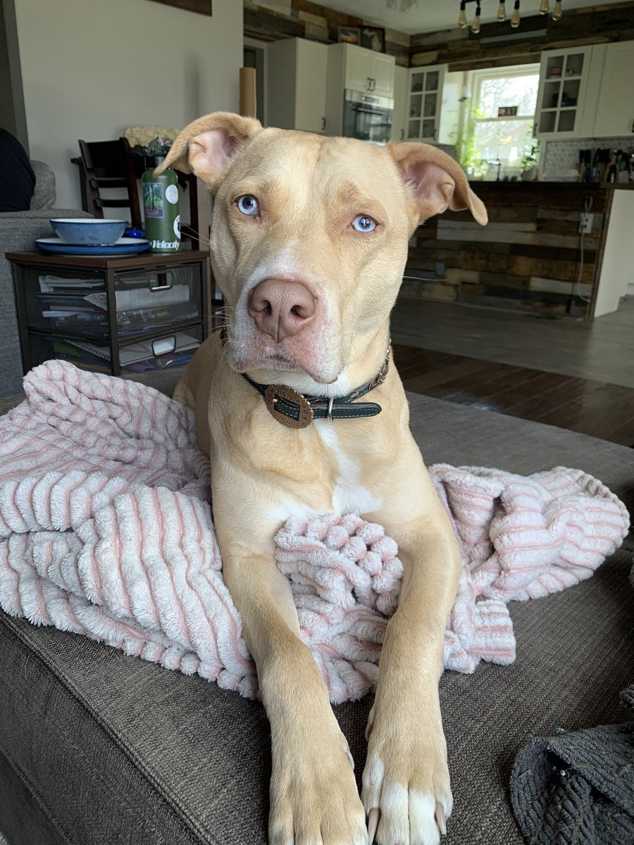 Angela Bohm tweet media