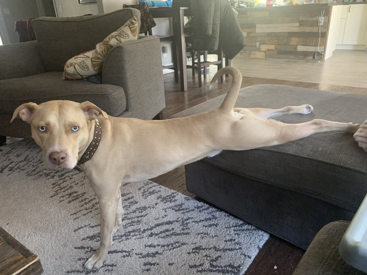 Angela Bohm tweet media