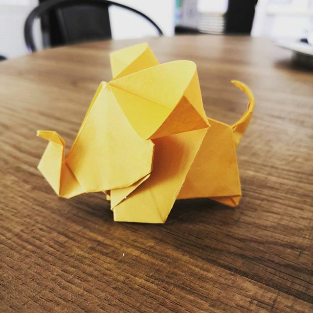 OrigamiInvasion's tweet image. Baby elephant test

Designed : @my_crafts_arts

#origami #origamiart #papercraft #paper #paperart #craft #paperfolding #paperfoldingart #origamielephant