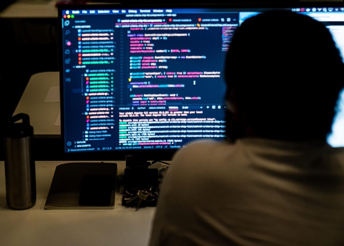 orangebeesllc tweet media