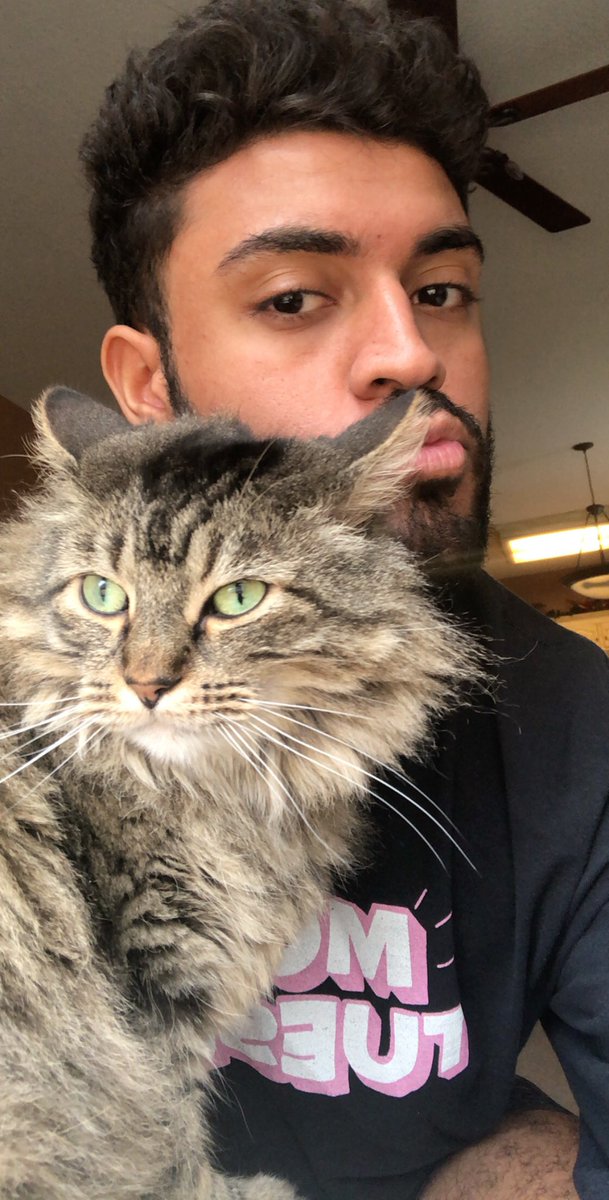 matchu_chutrain's tweet image. QUARANTINE CAT THREAD (show me your kitties)