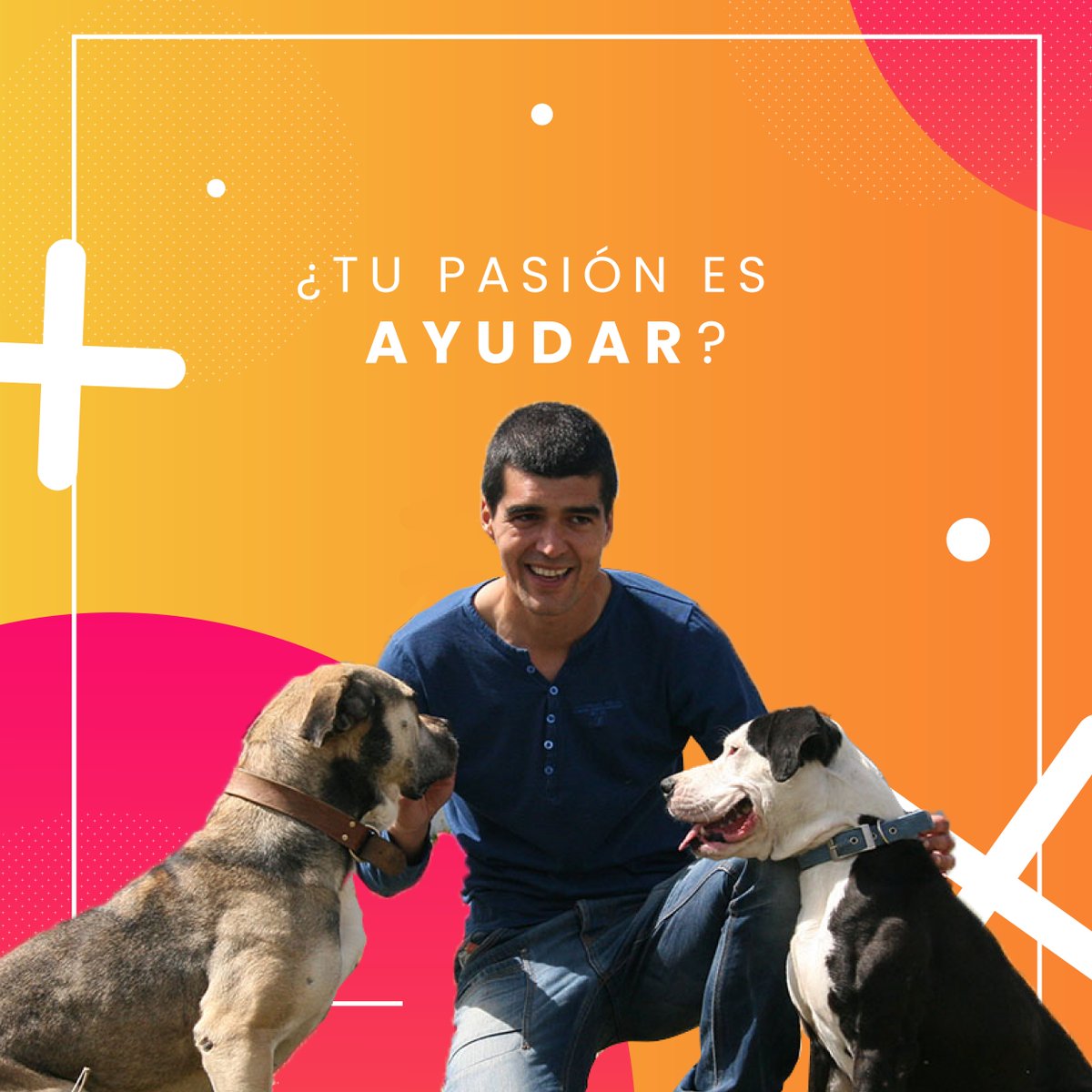 inixar's tweet photo. Si tu pasión es ayudar a los más necesitados presenta tu iniciativa en INIXAR y recauda los fondos con la ayuda de tus amigos.⁠ ⁠ 

Comienza aquí: https://t.co/6giaVjLiHi⁠ ⁠ https://t.co/ZMh83v1i0p