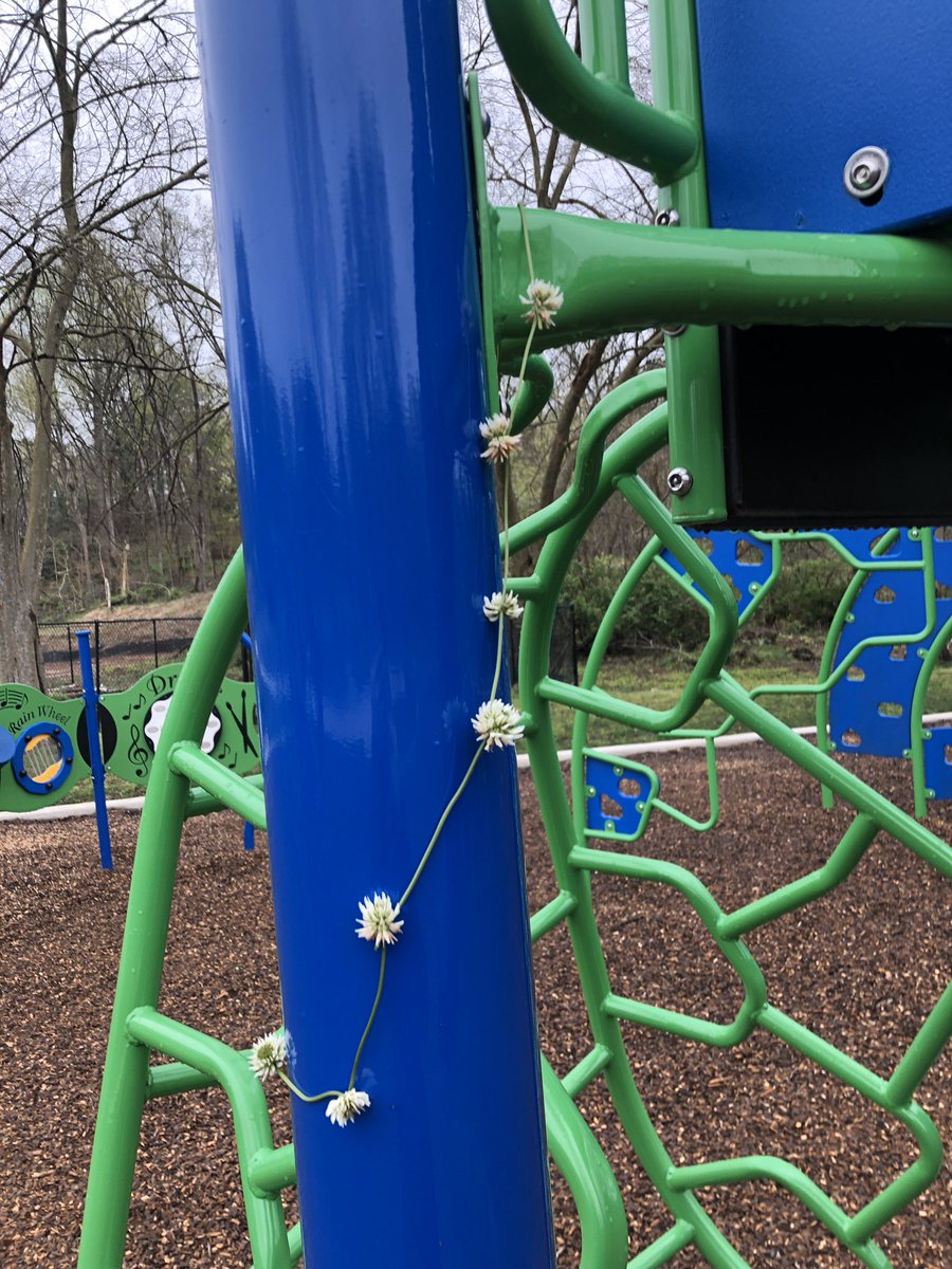 ZuyiMui's tweet photo. For Mother Nature Monday, I took a nature walk to the park to play with the music instruments. I promise that I didn’t caused the rain! #PanthersEngaged https://t.co/wLKLTuUwdy