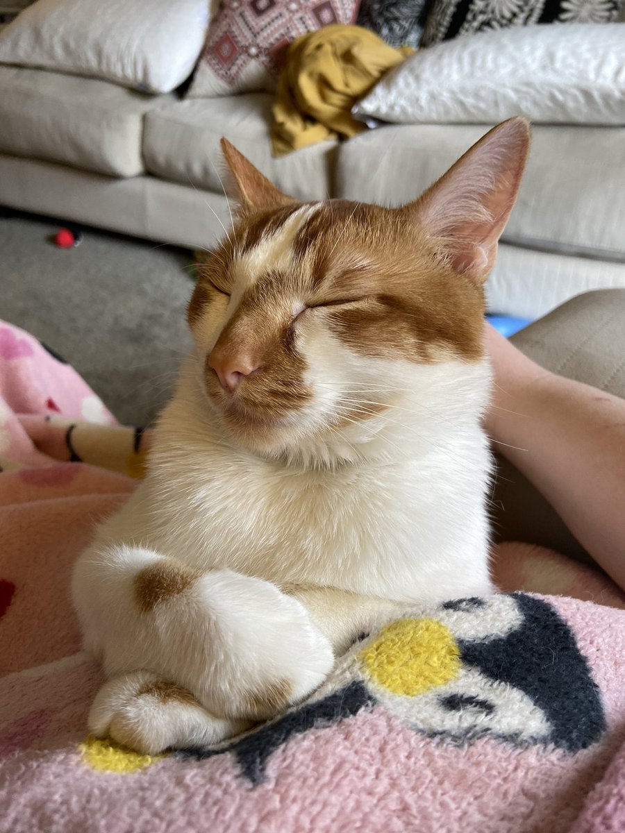 My only in-person student. We’re ready to learn! #InThisTogetherLPS