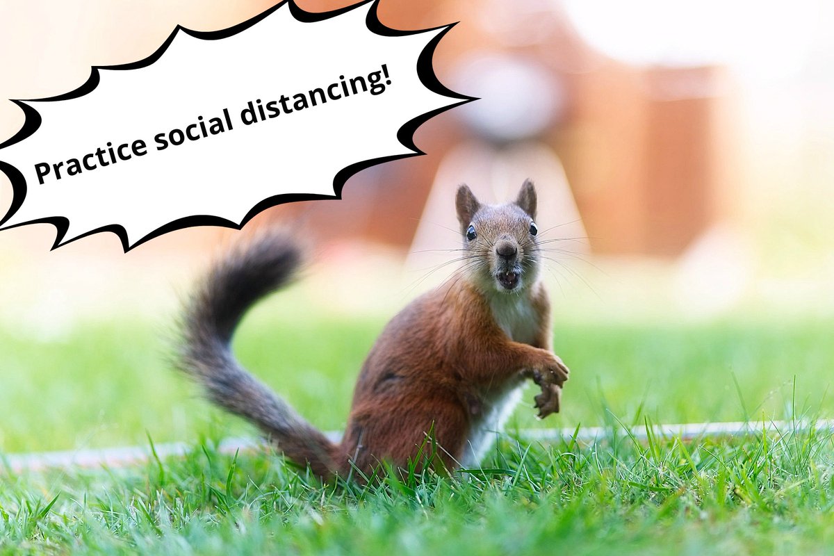 Mia Stålnacke (@angrytheinch) on Twitter photo 