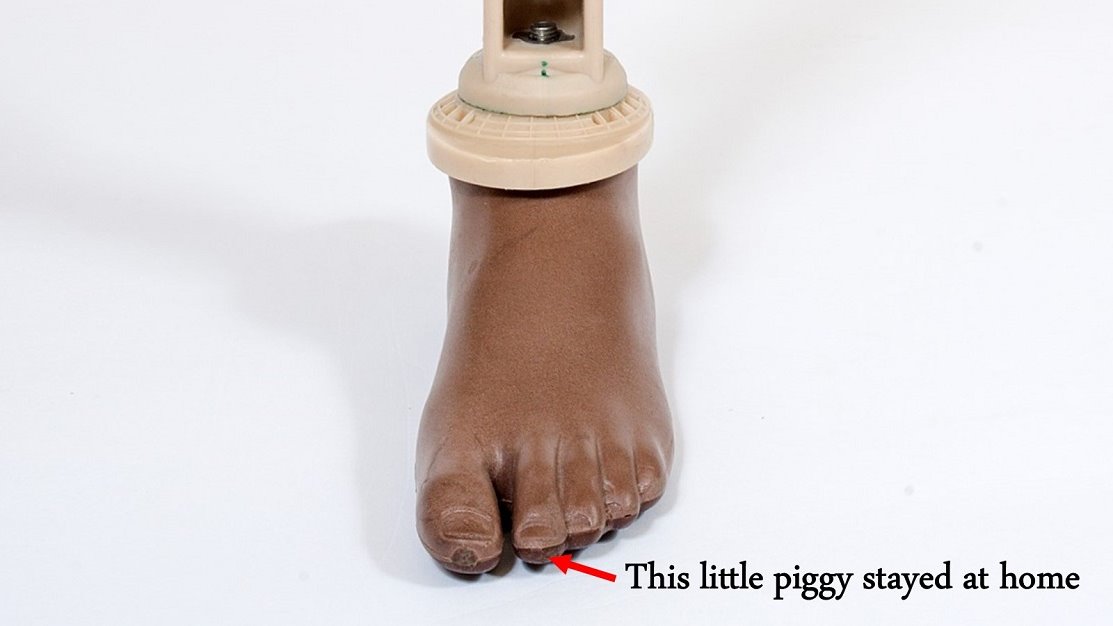 This little piggy stayed at home