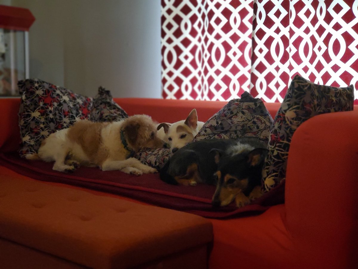 MLKMS Beltsville, Md on Twitter "Mr. Pieschek checked in saying he has