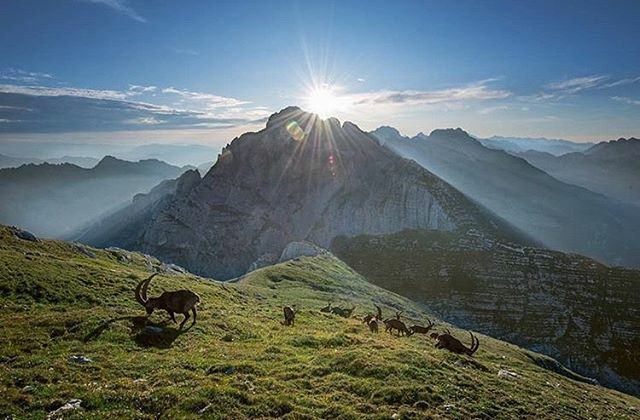 Vi auguriamo buona serata con questo spettacolo dall’Altopiano del Montasio grazie a @odradek_bardamu!
.
Condividete le vostre vecchie foto conservate nel cassetto. Le aspettiamo!

#igersud #igersfvg #weareigersit #instagramersitalia #iorestoacasa #lital… ift.tt/2vJr0Oh