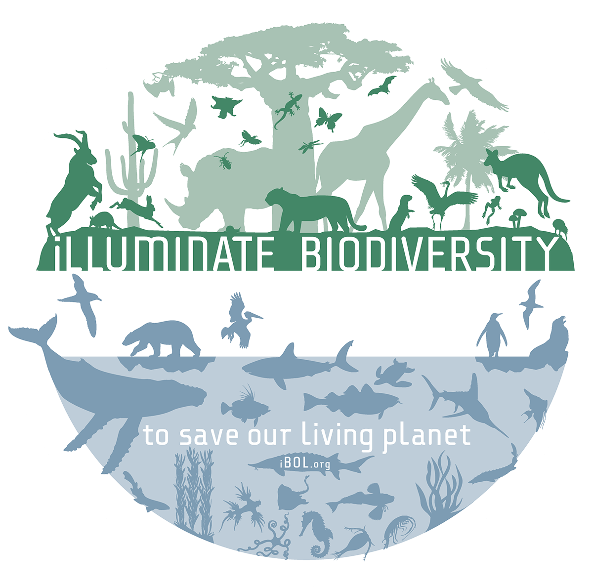 iBOLConsortium's tweet photo. #COVIDー19 has made clear the urgent need to better understand #biodiversity in order to protect it, our ecosystems, our health. This is the aim of our new global research program, #BIOSCAN: https://t.co/7J434ztyGg 

#Biodiversity2020 #PlanetaryHEALTH https://t.co/JUE88gtDHh