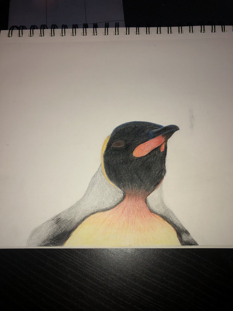 JHerchler's tweet photo. I tried to draw a penguin for todays virtual spirit week theme #VHSiscreative https://t.co/inZSDNzQO3