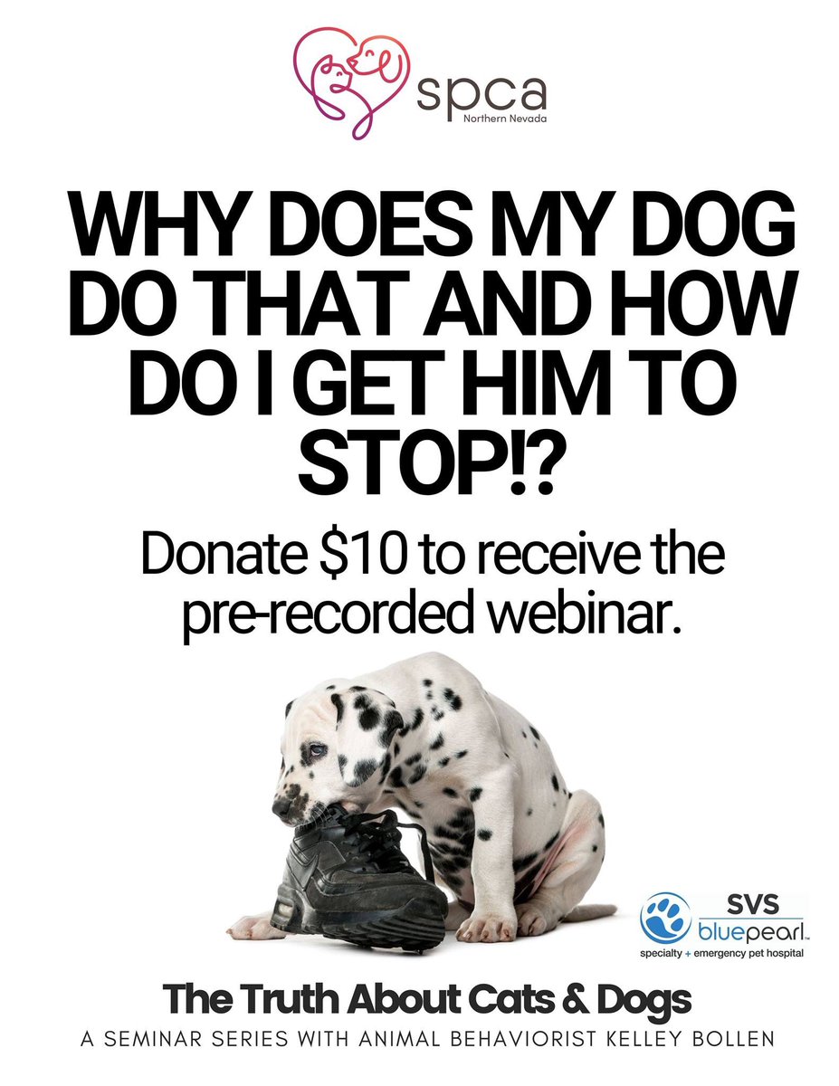 Link to donate —> bit.ly/2Uya5rT