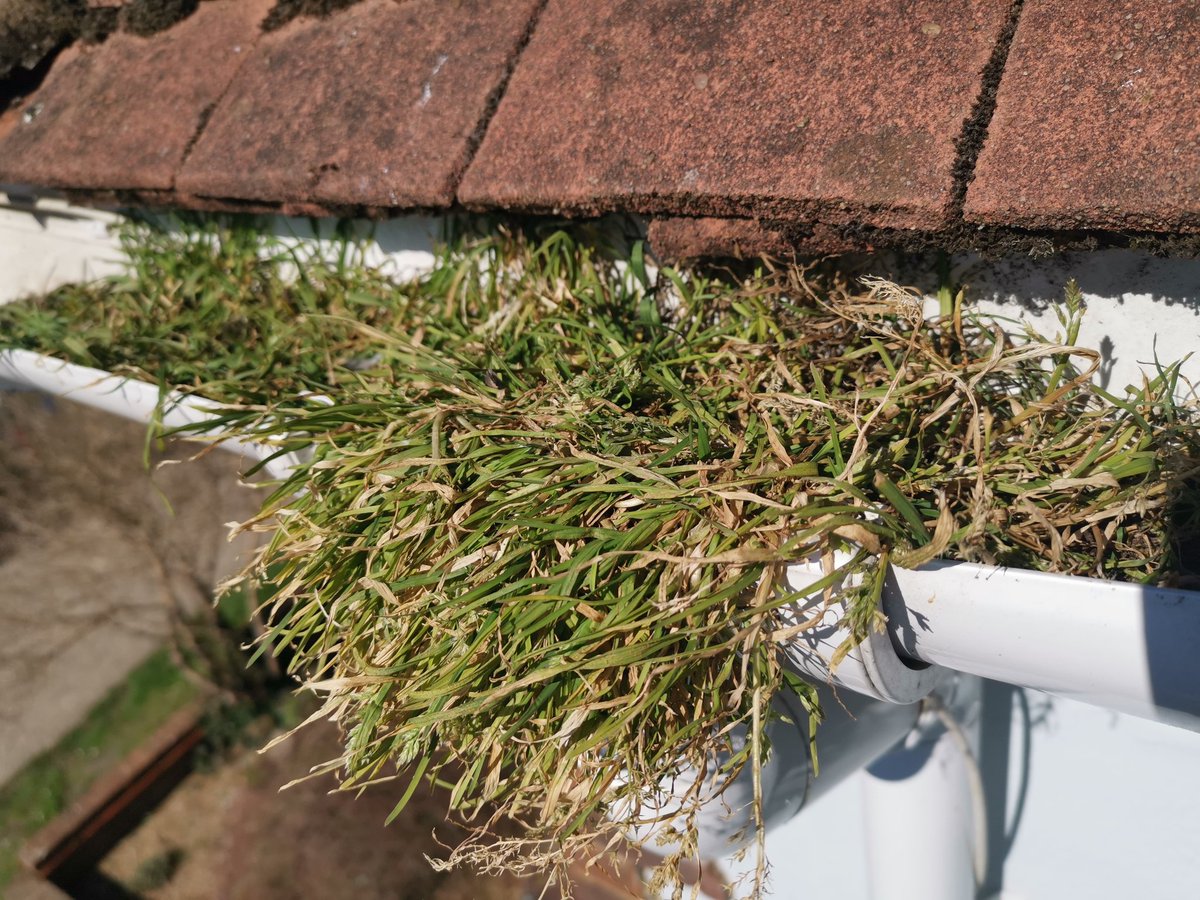 GuttersSussex's tweet photo. Blocked gutter and downpipe fixed. #gutterrepairs 
#gutterinstallations
#blockedgutter
#guttercleaning
#leakingroof
#sussexgutters
#gutters
#gutterservices
#gutterrepair 
#sussexbusiness 
#localbusiness https://t.co/oRWyuIWPJY