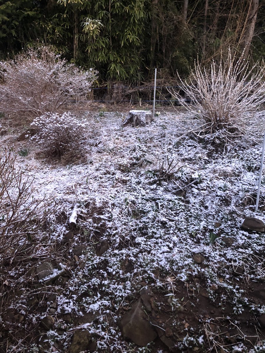 ひらねーさん あら 雪降ってるじゃない 寒いと思ったわ じゃねえんだ三月下旬だぞ狂ってんのか ひらねーさん あら 雪降ってるじゃない 寒いと思ったわ じゃねえんだ三月下旬だぞ狂ってんのか
