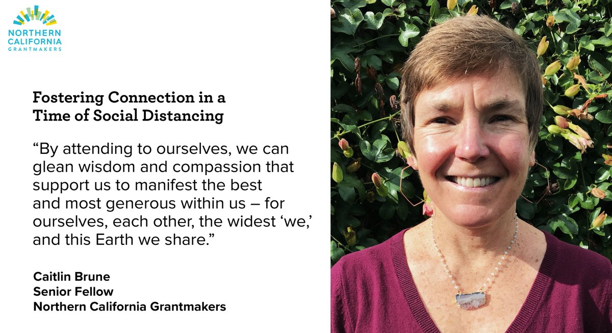 NorCalGrant's tweet photo. In her role as Senior Fellow, Caitlin Brune supports NCG and #NCGmembers to probe the very big question of how to be, whether in times of chaos or calm. In a time of chaos now, read her first blog on Fostering Connection in a Time of Social Distancing: https://t.co/FFYDUT3tDo https://t.co/K7iM8D9Lbc