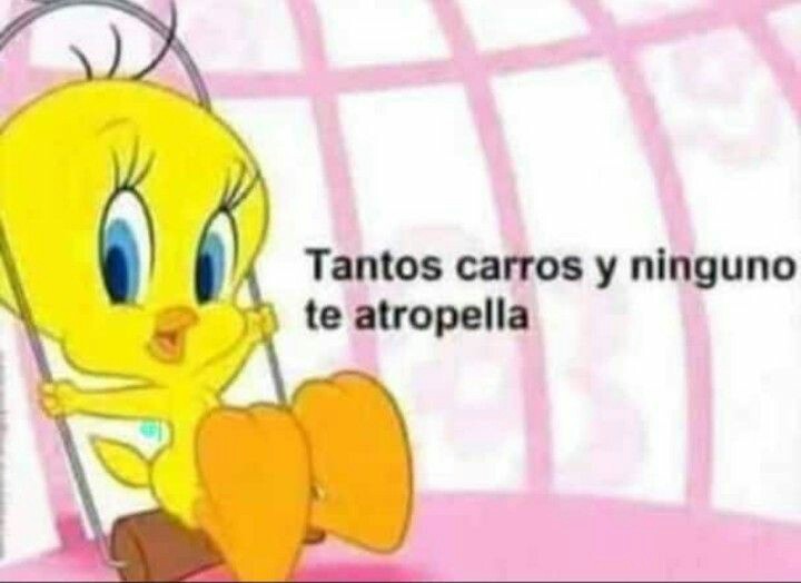 Featured image of post Frases Piolin Buenas Noches Si est s buscando frases de buenas noches para tu novia est s de enhorabuena porque te traemos una selecci n de las mejores con las que podr s buenas noches mi amor