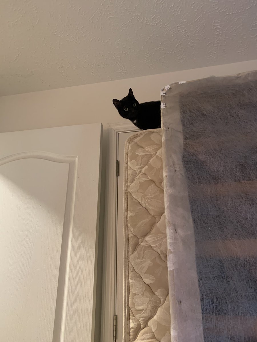 terricjones's tweet image. My new office view. #workingfromhome