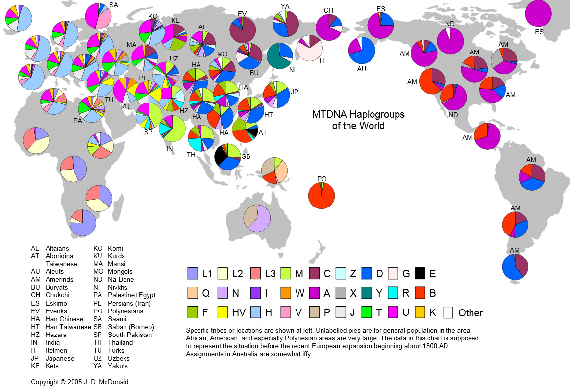 Mitochondrial Haplogroups & Risk of Pulmonary Arterial Hypertension"mitochondrial haplogroups influence risk of PAH...vulnerability to PAH may have emerged under selective enrichment of specific haplogroups...w/ the migration of populations out of Africa" https://www.ncbi.nlm.nih.gov/pmc/articles/PMC4880300/